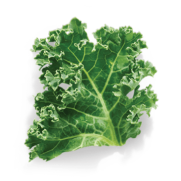 raw kale