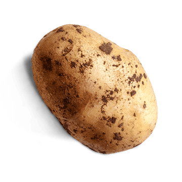 raw potato