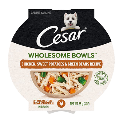Cesar Wholesome Bowls Chicken, Sweet Potatoes and Green Beans dog food bowl
