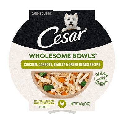 Cesar Wholesome Bowls Chicken, Carrots, Barley and Green Beans dog food bowl