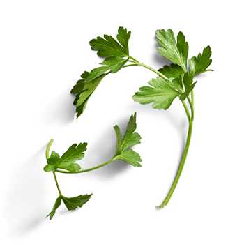 raw parsley