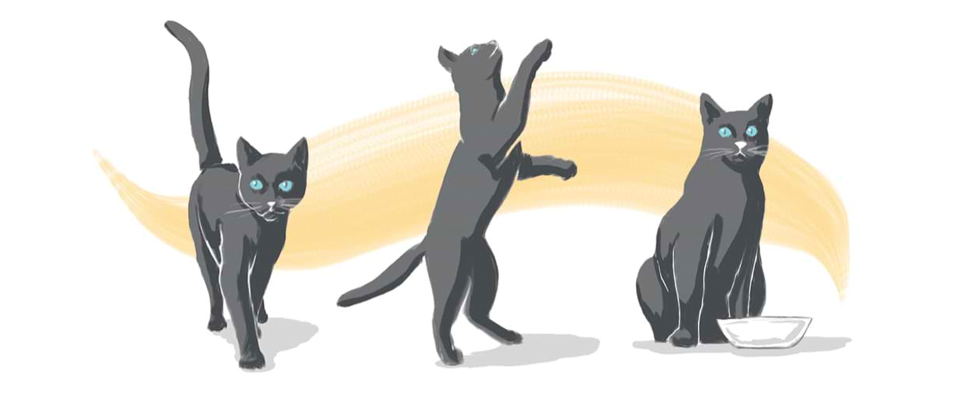 How to Read a Cat's Body Language | SHEBA® How to Read a Cat's Body Language | SHEBA®
