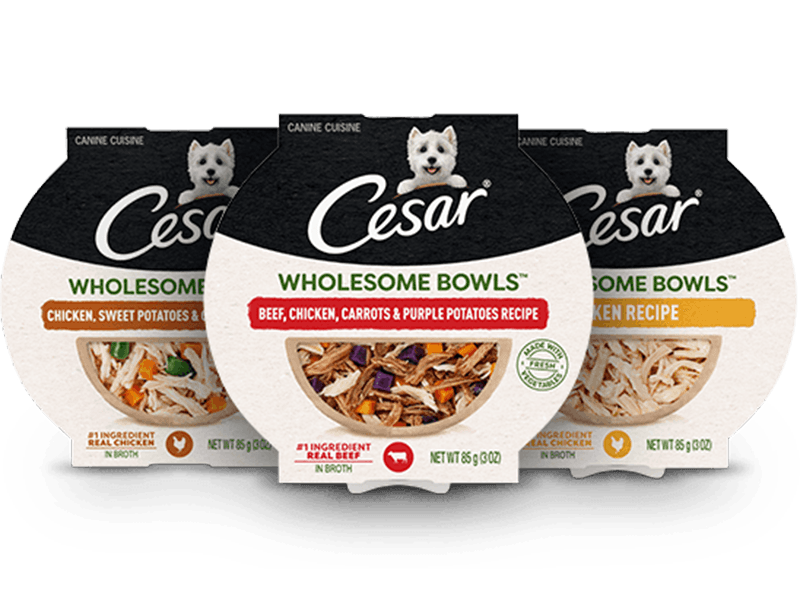 collection of three flavors of Cesar Wholesome Bowls packaging