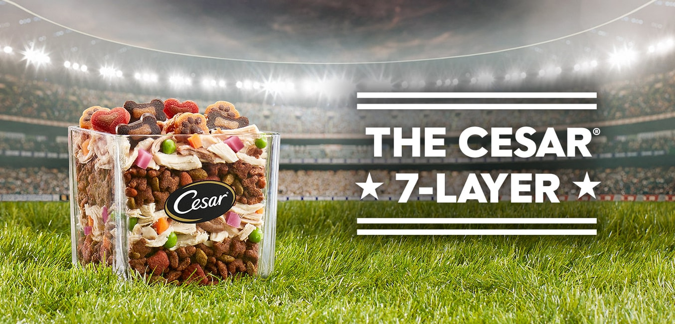seven layer dip made of different Cesar dog food products