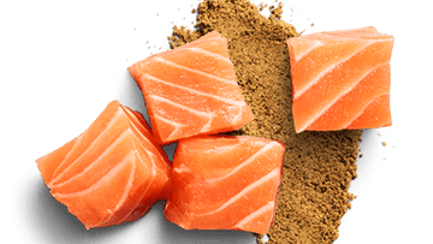 raw salmon meal