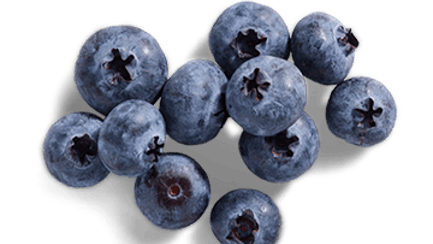 raw blueberries