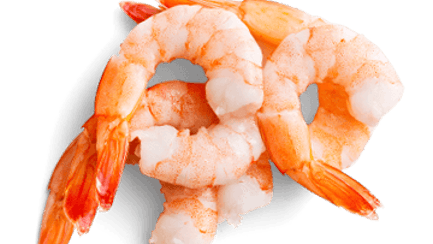 raw shrimp