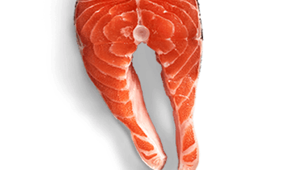 raw salmon