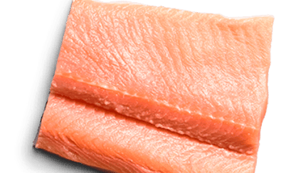 raw trout