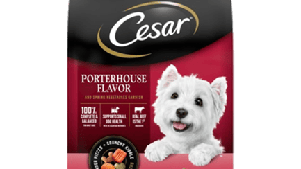 Dog Food Recipes to Make for Game Days CESAR