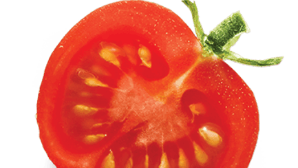 raw tomato