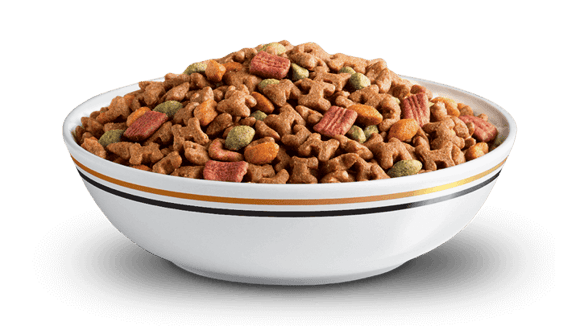 Cesar dry dog food in a white bowl