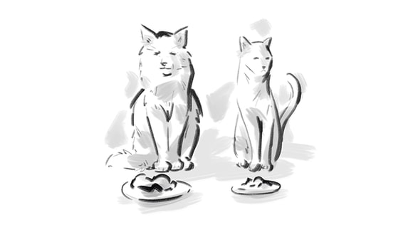 sketch of two cats sitting behind their food bowls