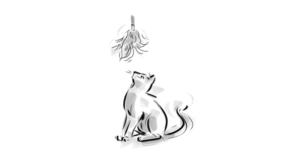 sketch of cat playing with toy