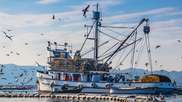 large docked fishing boat with seaguls in air 