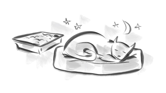 sketch of cat sleeping on floor with litter box next to him