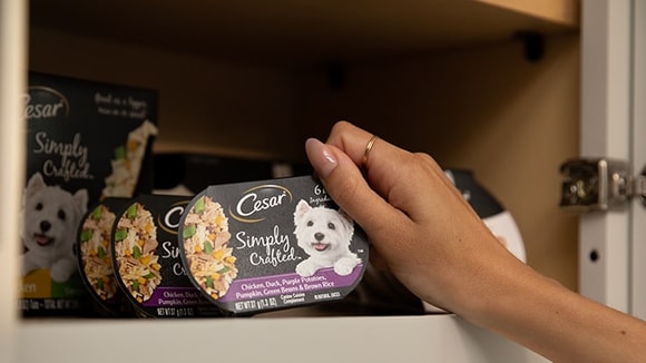 hand reaching for CESAR simply crafted chicken dog food topper in cabinet